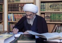 پیام تسلیت امام جمعه بوشهر در پی شهادت رئیسجمهور