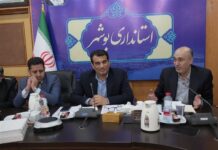 بوشهر از استانهای پیشرو در تسهیل و رفع موانع تولید است