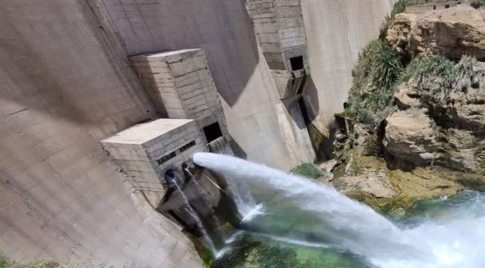 آبیاری نخلستانهای دشتستان با آب ذخیرهشده سد رئیسعلی دلواری