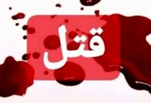 قتل جوان ۳۰ ساله در عسلویه