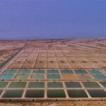 ذخیره ۱.۳ میلیارد بچه میگو در مراکز پرورشی بوشهر