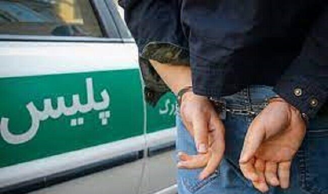 ۲۳۹ دستگاه وسیله نقلیه مسروقه در استان بوشهر کشف شد