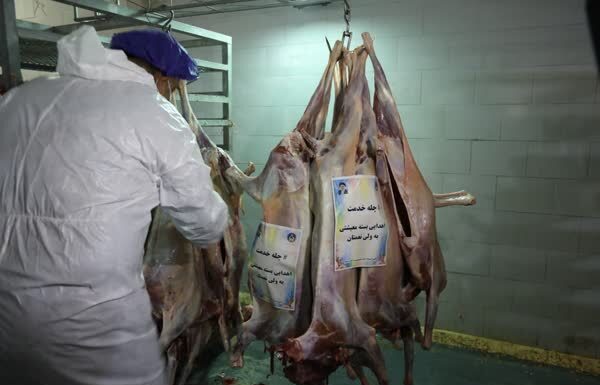 طرح ذبح عظیم قربانی در بوشهر+ عکس