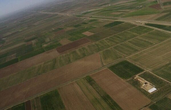 بیش از ۱۰۰۰ هکتار اراضی غیرملی در شهرستان دشتستان تثبیت شد