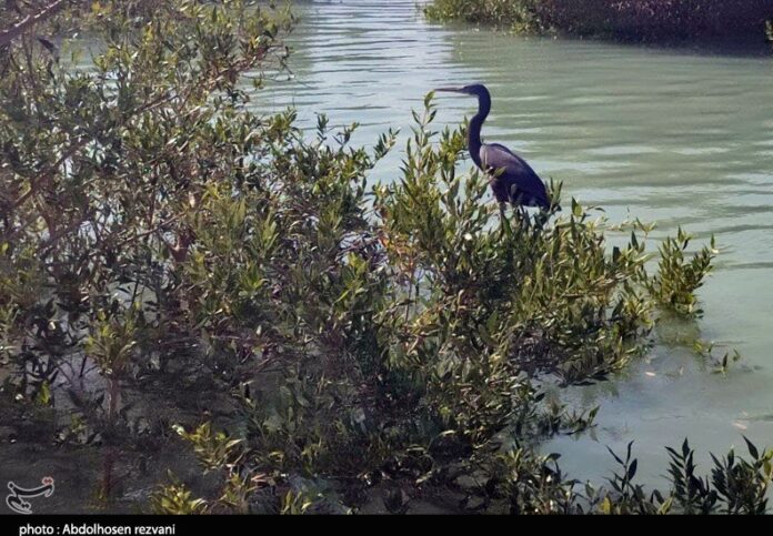 14001105111905810246118010 (1)