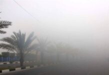 ثبت رطوبت و شرجی ۹۳ درصدی در استان بوشهر