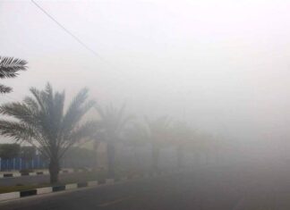 ثبت رطوبت و شرجی ۹۳ درصدی در استان بوشهر