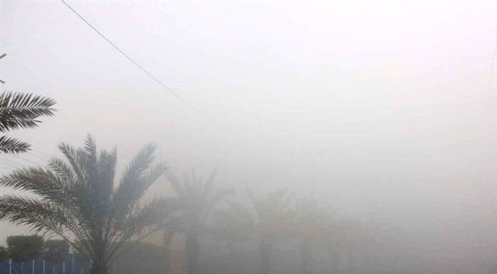 ثبت رطوبت و شرجی ۹۳ درصدی در استان بوشهر