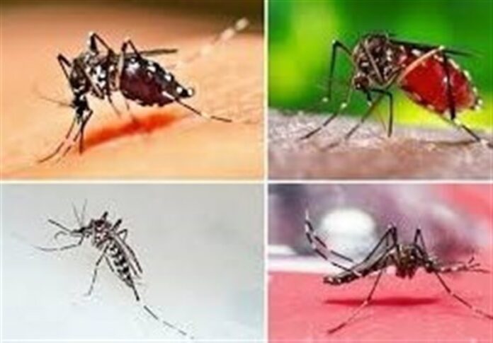 1403041917301389530521424