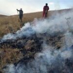 آتشسوزی در بیش از ۳۰۰ هکتار مراتع شهرستان جم مهار شد