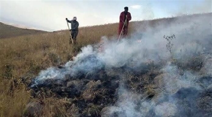آتشسوزی در بیش از ۳۰۰ هکتار مراتع شهرستان جم مهار شد