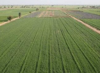 بیش از ۲ هزار هکتار از اراضی غیر ملی در شهرستان بوشهر تثبیت شد