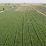 ۲۳ پرونده در کمیسیون هیأت نظارت ماده ۳۳ بوشهر بررسی شد