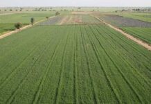 ۲۳ پرونده در کمیسیون هیأت نظارت ماده ۳۳ بوشهر بررسی شد