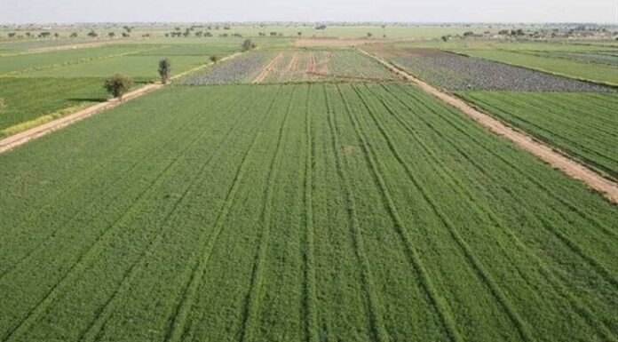 ۲۳ پرونده در کمیسیون هیأت نظارت ماده ۳۳ بوشهر بررسی شد