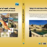 کتاب چشمهها در گنجینه آب استان بوشهر منتشر شد