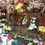 گلفروشان میدان غدیر بوشهر ساماندهی شوند