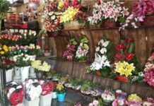 گلفروشان میدان غدیر بوشهر ساماندهی شوند