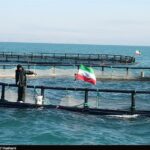 تولید آبزیان با سرمایهگذاری ۹۸۸ میلیارد در بوشهر