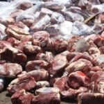 معدومسازی ۸۵ تن فرآورده غیربهداشتی دام در بوشهر