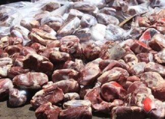 معدومسازی ۸۵ تن فرآورده غیربهداشتی دام در بوشهر