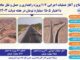 تخصیص ۸۱۷ میلیارد تومان به طرحهای راهداری بوشهر