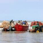 فرمانده یگان حفاظت منابع آبزیان بوشهر: چهار فروند قایق در ایام «دریابست» توقیف شدند