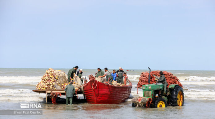 فرمانده یگان حفاظت منابع آبزیان بوشهر: چهار فروند قایق در ایام «دریابست» توقیف شدند