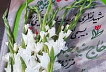 فیلم | آغاز برنامه های هفته دولت در استان بوشهر