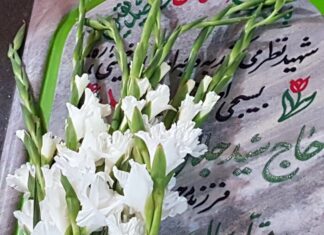 فیلم | آغاز برنامه های هفته دولت در استان بوشهر