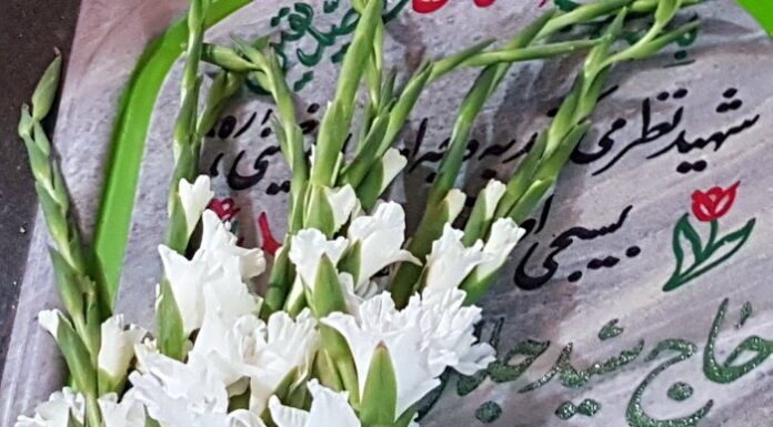 فیلم | آغاز برنامه های هفته دولت در استان بوشهر