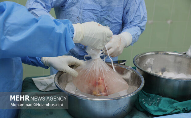 دختر ۲۰ ساله کنگانی به ۳ بیمار نیازمند به عضو حیاتی دوباره بخشید