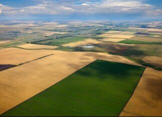 واگذاری اراضی ملی برای توسعه اشتغال در استان بوشهر