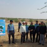 پروژه کاشت نهال در ۶۶ هکتار از اراضی روستای آبطویل افتتاح شد