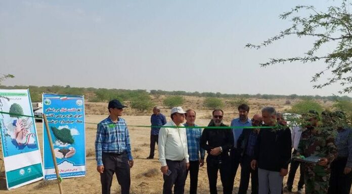 پروژه کاشت نهال در ۶۶ هکتار از اراضی روستای آبطویل افتتاح شد