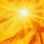 ثبت دمای ۵۲ درجهای در استان بوشهر