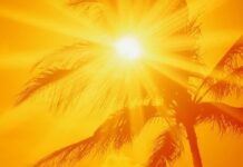 ثبت دمای ۵۲ درجهای در استان بوشهر