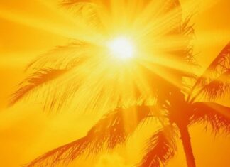 ثبت دمای ۵۲ درجهای در استان بوشهر