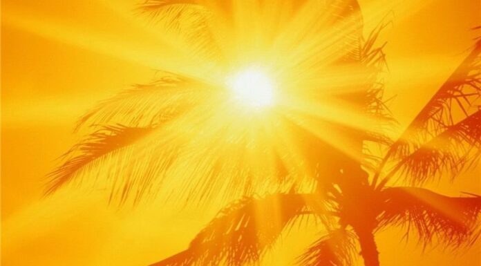 ثبت دمای ۵۲ درجهای در استان بوشهر