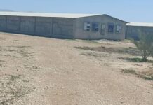 بازدید شش طرح دارای مجوز تغییر کاربری در شهرستان بوشهر