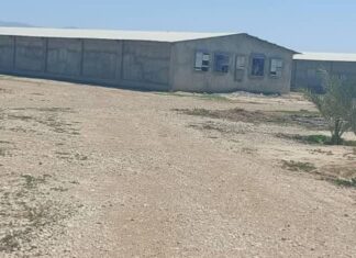 بازدید شش طرح دارای مجوز تغییر کاربری در شهرستان بوشهر