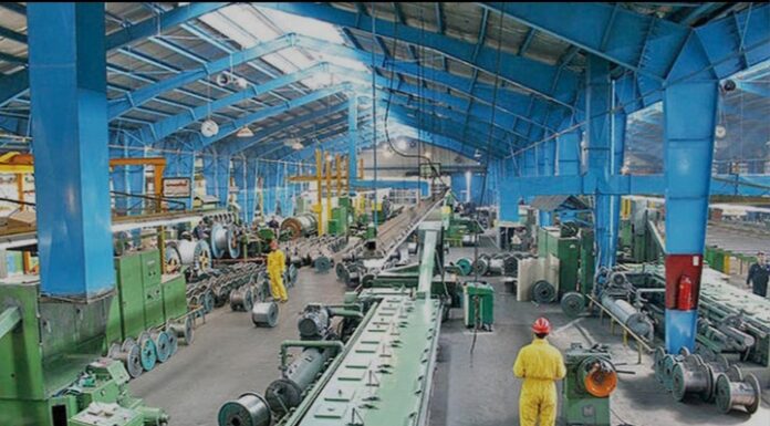 ۳۱ فقره جواز تأسیس صنعتی در دشتستان صادر شد