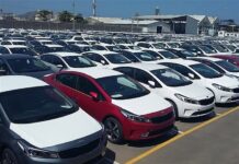 ترخیص یکهزار و ۱۰۹ خودرو از گمرکات استان بوشهر