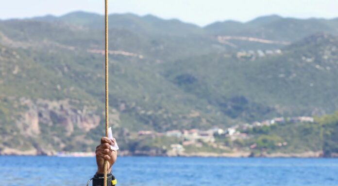 رقابت حسین آبگون با برترین غواصان دنیا در فرانسه