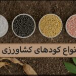 تامین و توزیع مقدار ۷۰۰۰تن انواع کودکشاورزی در استان بوشهر