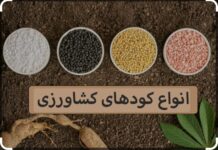 تامین و توزیع مقدار ۷۰۰۰تن انواع کودکشاورزی در استان بوشهر