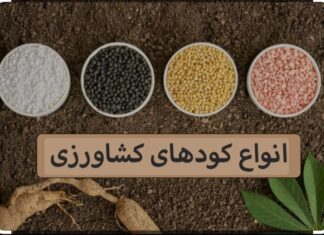 تامین و توزیع مقدار ۷۰۰۰تن انواع کودکشاورزی در استان بوشهر