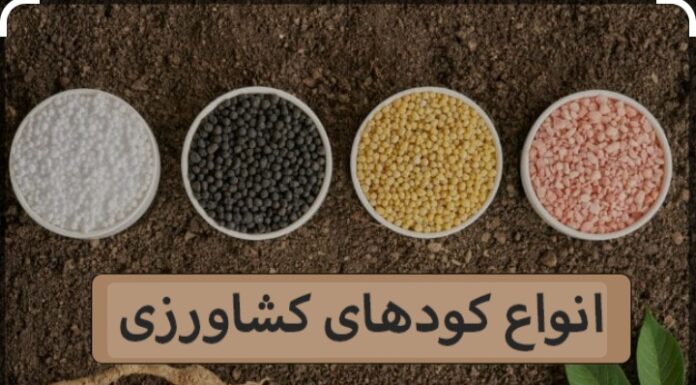 تامین و توزیع مقدار ۷۰۰۰تن انواع کودکشاورزی در استان بوشهر