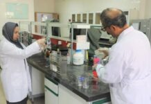 انجام ۲۵ هزار آزمایش برای تشخیص بیماریهای میگو در بوشهر