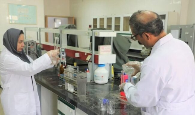 انجام ۲۵ هزار آزمایش برای تشخیص بیماریهای میگو در بوشهر